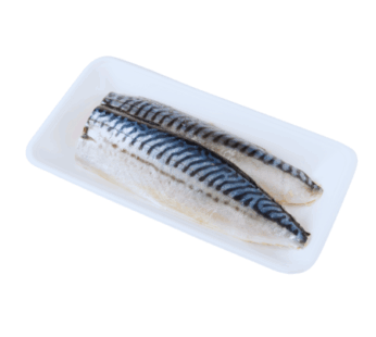 Filetto di Sgombro