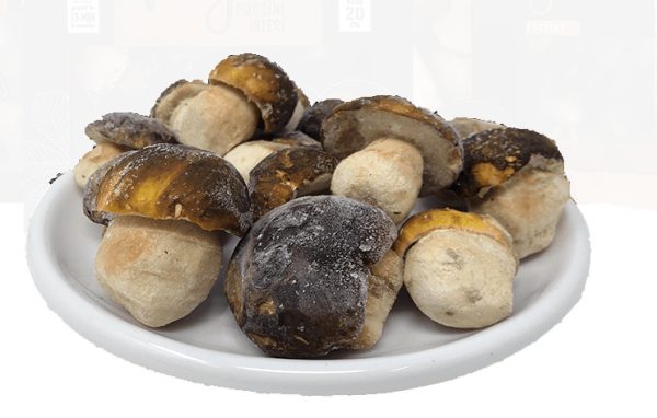 Funghi porcini interi