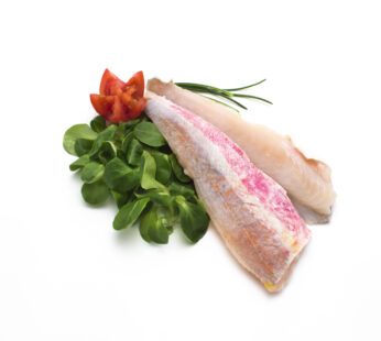 Filetto di Gallinella del Pacifico