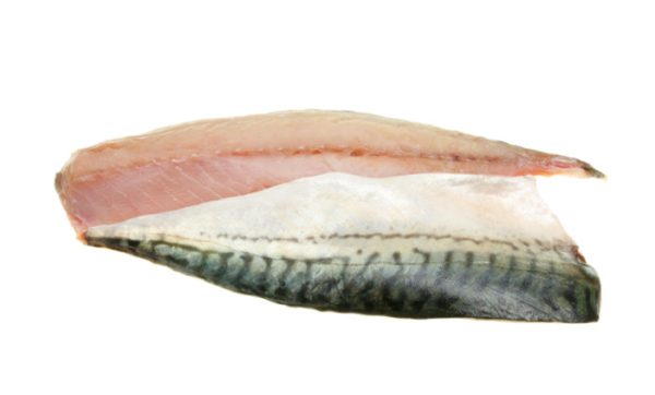 Filetto di Sgombro - immagine 2