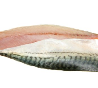 Filetto di Sgombro