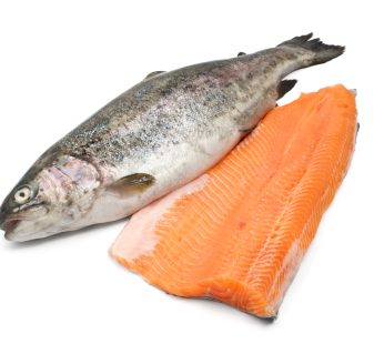 Filetto di Trota Iridea Salmonata