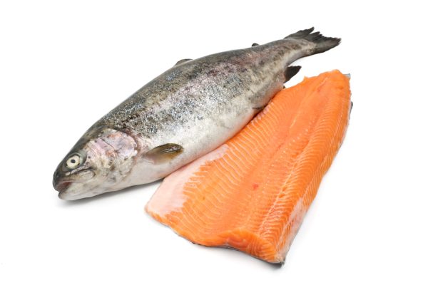 Filetto di Trota Iridea Salmonata