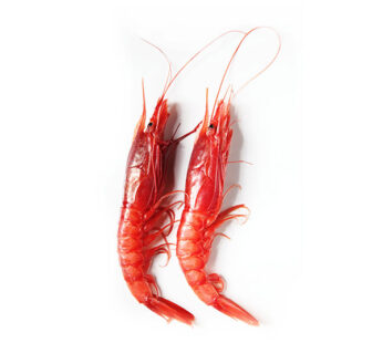 Gambero Rosso di Sicilia