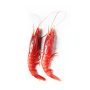 Gambero Rosso di Sicilia SILVER