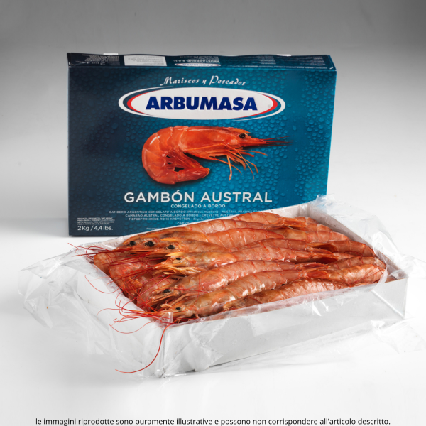 Gambero Argentino L1 - immagine 7