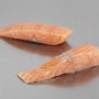 Salmone Porzioni