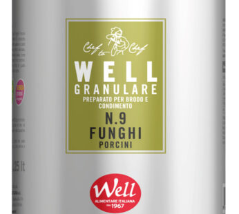 Brodo granulare ai Funghi Porcini