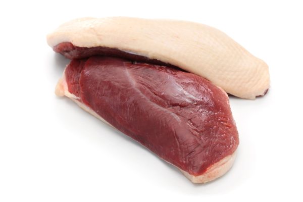 Petto d'anatra