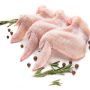 Ali di Pollo