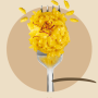 Risotto allo zafferano - FiorDiPrimi