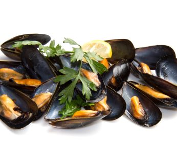 Cozza Cilena precotta