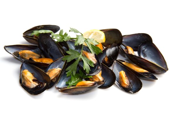 Cozza Cilena precotta