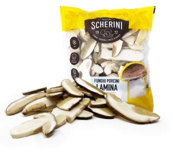 Funghi Porcini lamina