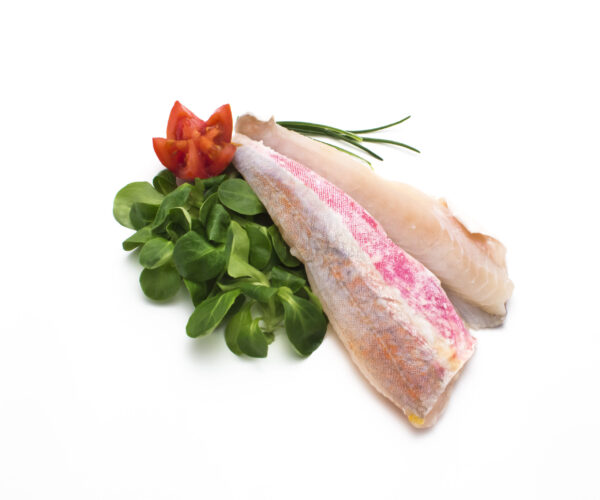 Filetto di Gallinella del Pacifico - immagine 6