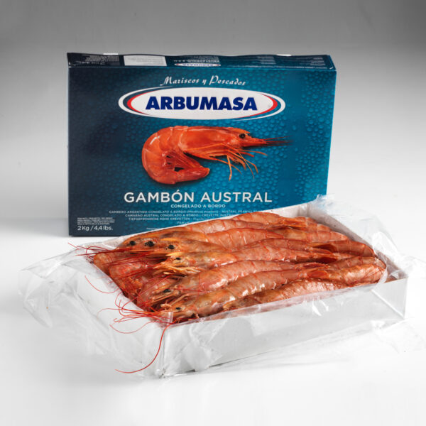 Gambero Argentino L1 - immagine 20