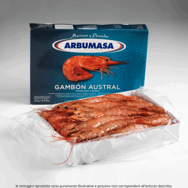 Gambero Argentino L1 - immagine 19