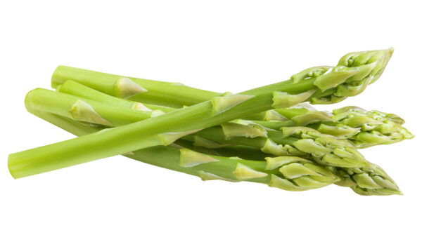 Punte di Asparagi - immagine 23