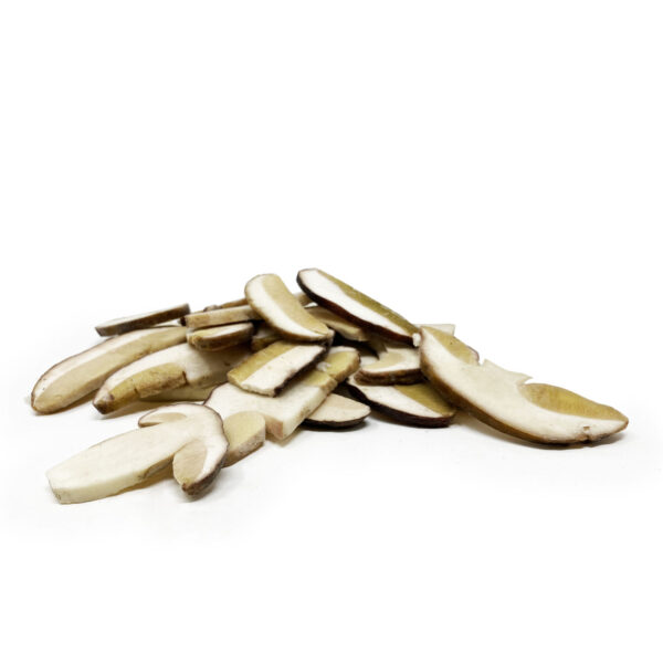 Funghi Porcini lamina - immagine 22