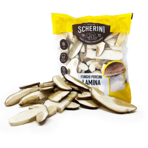 Funghi Porcini lamina - immagine 21