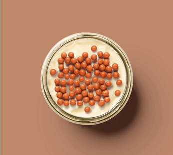 Tiramisu al caramello salato – 12 monoporzioni