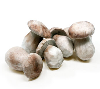 Funghi porcini interi Testa Chiara